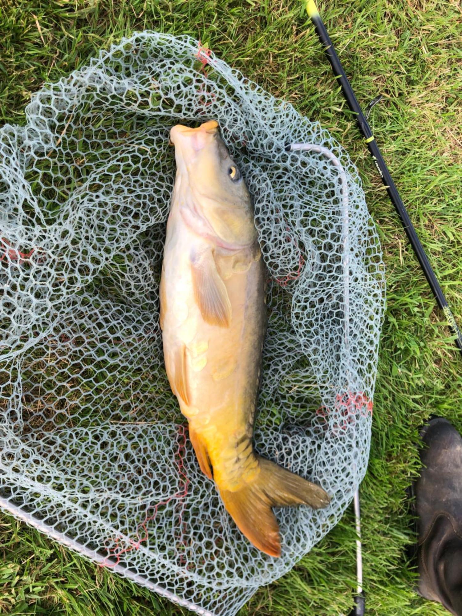 1 Bedroom Tranquil Fishing By The Bommiers